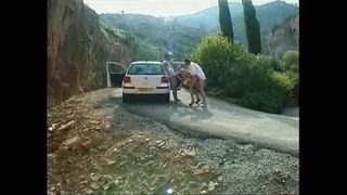 Dva borci fiknou stopařku u silnice